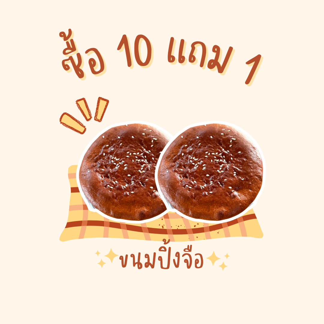 ซื้อ10แถม1